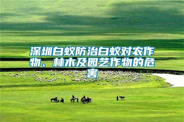 深圳白蟻防治白蟻對農(nóng)作物、林木及園藝作物的危害