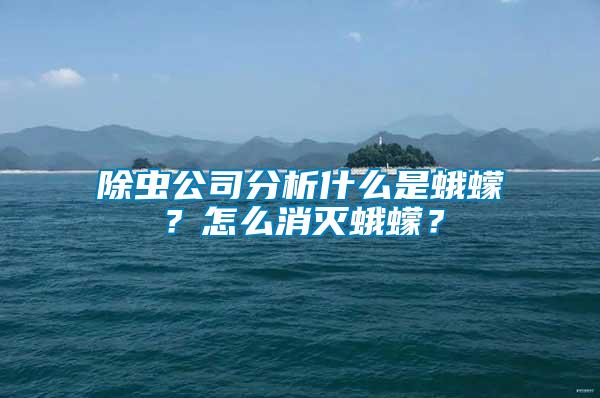 除蟲公司分析什么是蛾蠓？怎么消滅蛾蠓？
