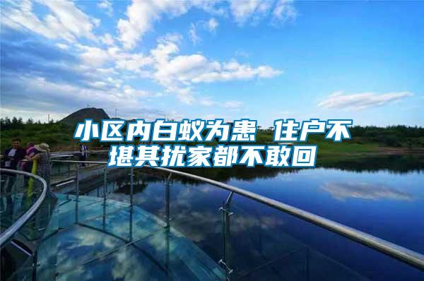 小區(qū)內白蟻為患 住戶不堪其擾家都不敢回