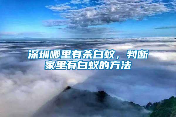 深圳哪里有殺白蟻，判斷家里有白蟻的方法