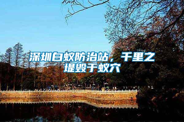 深圳白蟻防治站，千里之堤毀于蟻穴