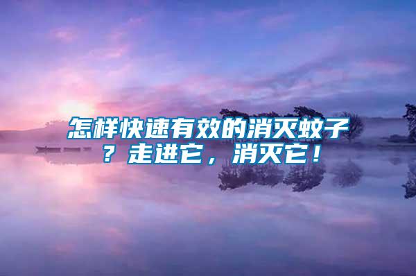 怎樣快速有效的消滅蚊子？走進(jìn)它，消滅它！