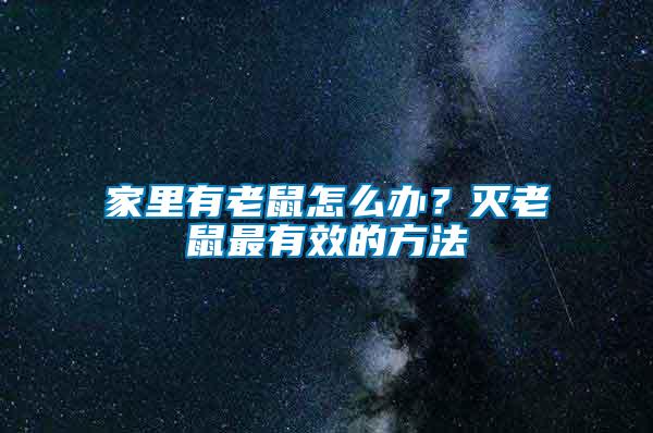 家里有老鼠怎么辦？滅老鼠最有效的方法