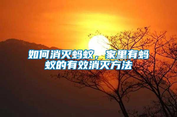 如何消滅螞蟻，家里有螞蟻的有效消滅方法