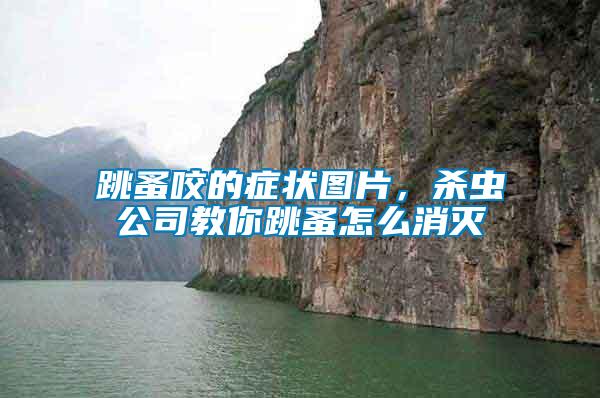 跳蚤咬的癥狀圖片，殺蟲(chóng)公司教你跳蚤怎么消滅
