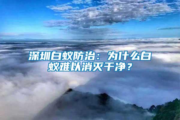 深圳白蟻防治：為什么白蟻難以消滅干凈？