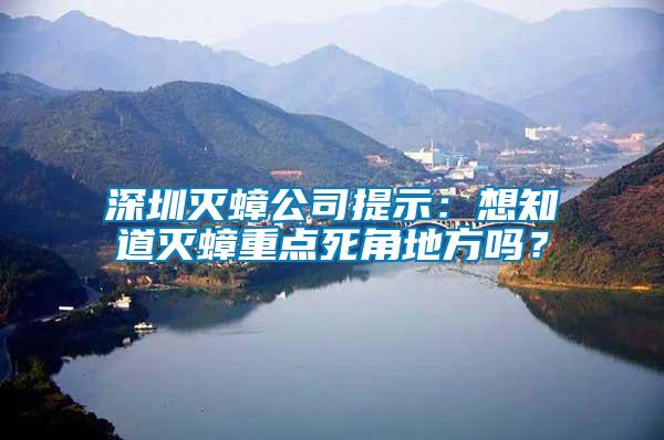深圳滅蟑公司提示：想知道滅蟑重點(diǎn)死角地方嗎？