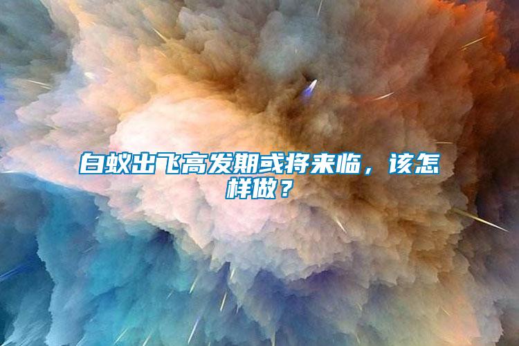 白蟻出飛高發(fā)期或?qū)砼R，該怎樣做？