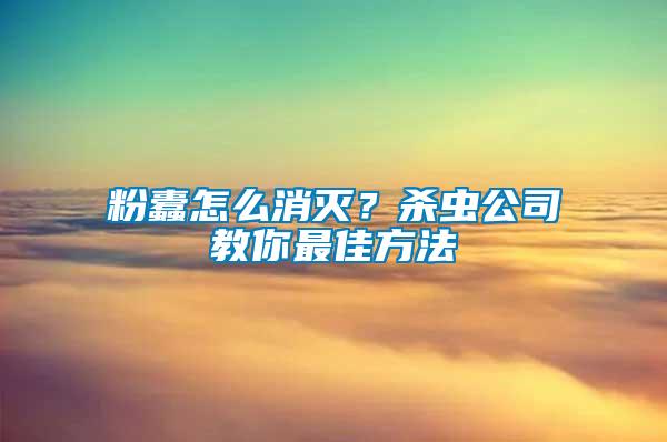 粉蠹怎么消滅？殺蟲公司教你最佳方法