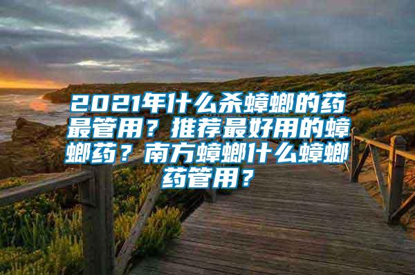 2021年什么殺蟑螂的藥最管用？推薦最好用的蟑螂藥？南方蟑螂什么蟑螂藥管用？