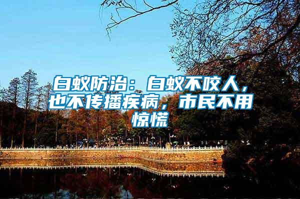 白蟻防治：白蟻不咬人，也不傳播疾病，市民不用驚慌