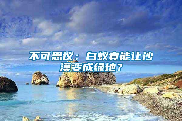 不可思議：白蟻竟能讓沙漠變成綠地？