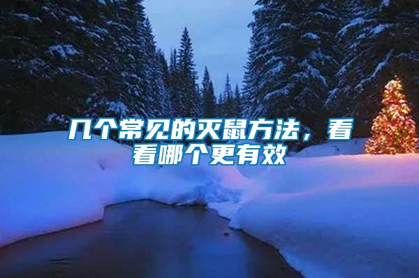 幾個常見的滅鼠方法，看看哪個更有效