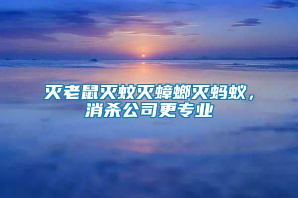滅老鼠滅蚊滅蟑螂滅螞蟻，消殺公司更專業(yè)
