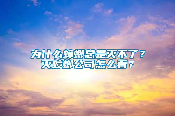 為什么蟑螂總是滅不了？滅蟑螂公司怎么看？