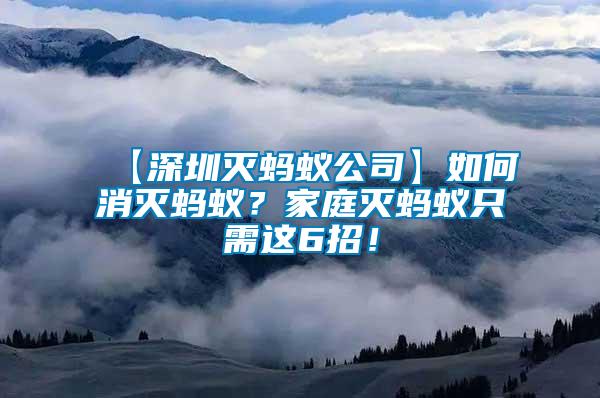 【深圳滅螞蟻公司】如何消滅螞蟻？家庭滅螞蟻只需這6招！