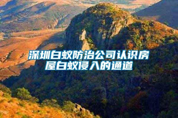深圳白蟻防治公司認(rèn)識(shí)房屋白蟻侵入的通道
