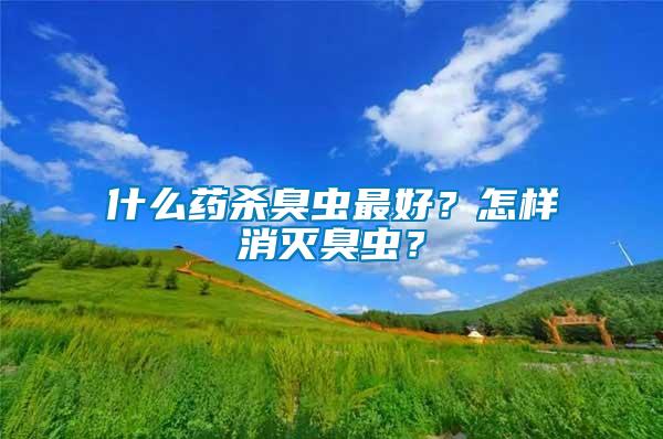 什么藥殺臭蟲最好？怎樣消滅臭蟲？