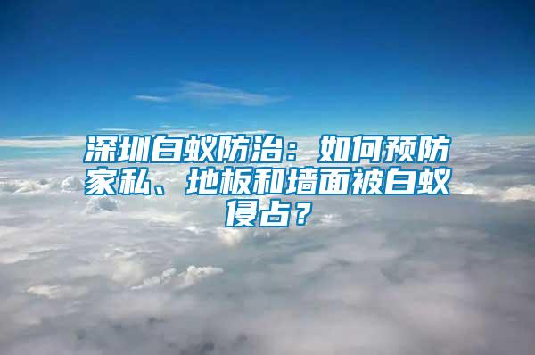 深圳白蟻防治：如何預(yù)防家私、地板和墻面被白蟻侵占？