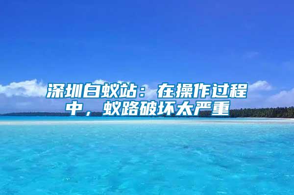 深圳白蟻站：在操作過程中，蟻路破壞太嚴(yán)重