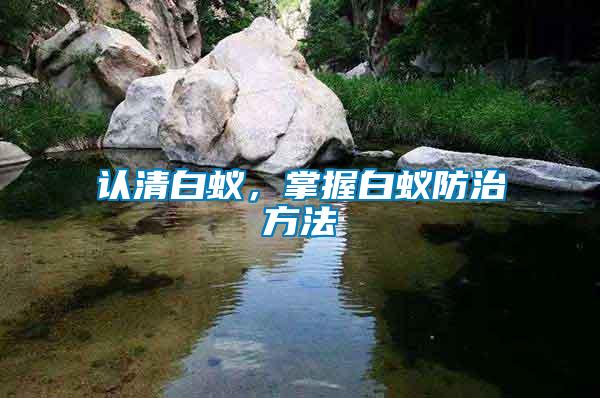 認清白蟻，掌握白蟻防治方法