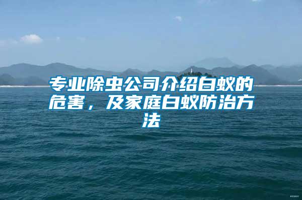 專業(yè)除蟲公司介紹白蟻的危害，及家庭白蟻防治方法