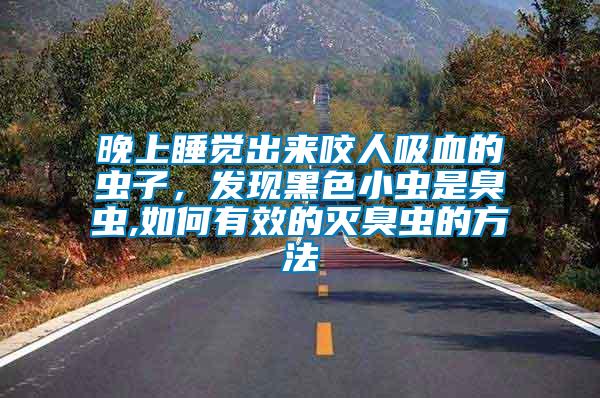 晚上睡覺出來咬人吸血的蟲子，發(fā)現(xiàn)黑色小蟲是臭蟲,如何有效的滅臭蟲的方法