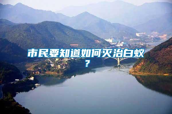 市民要知道如何滅治白蟻？