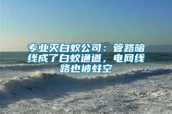 專業(yè)滅白蟻公司：管路暗線成了白蟻通道，電網(wǎng)線路也被蛀空