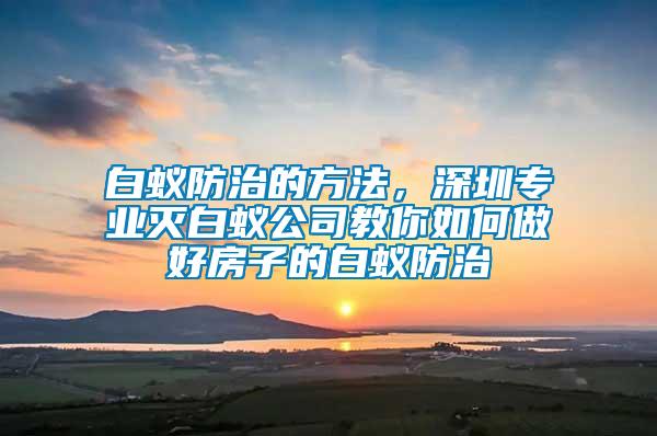 白蟻防治的方法，深圳專業(yè)滅白蟻公司教你如何做好房子的白蟻防治