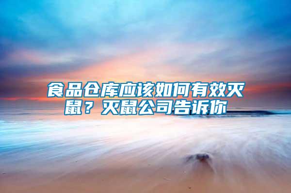 食品倉庫應該如何有效滅鼠？滅鼠公司告訴你