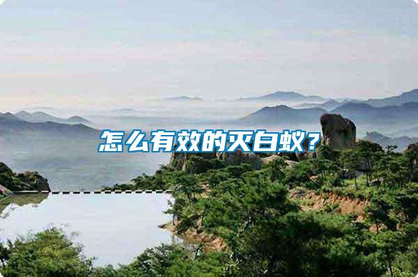 怎么有效的滅白蟻？