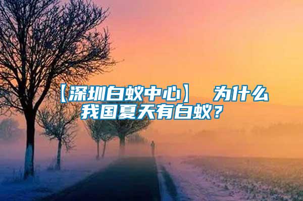 【深圳白蟻中心】 為什么我國(guó)夏天有白蟻？
