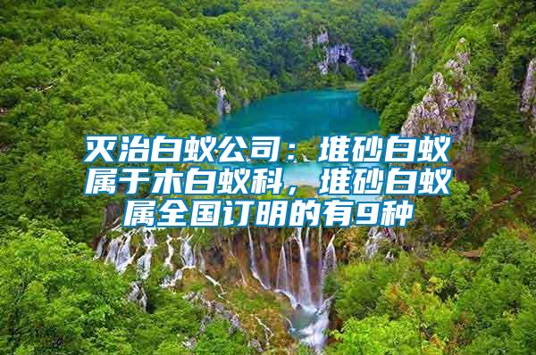 滅治白蟻公司：堆砂白蟻屬于木白蟻科，堆砂白蟻屬全國訂明的有9種