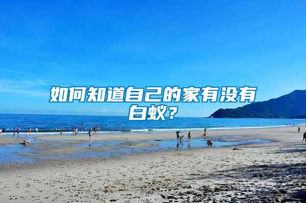 如何知道自己的家有沒有白蟻？