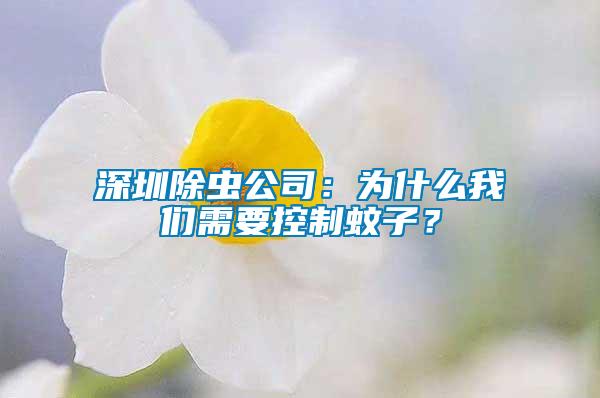 深圳除蟲(chóng)公司：為什么我們需要控制蚊子？