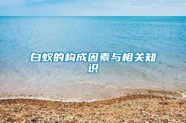 白蟻的構(gòu)成因素與相關(guān)知識(shí)