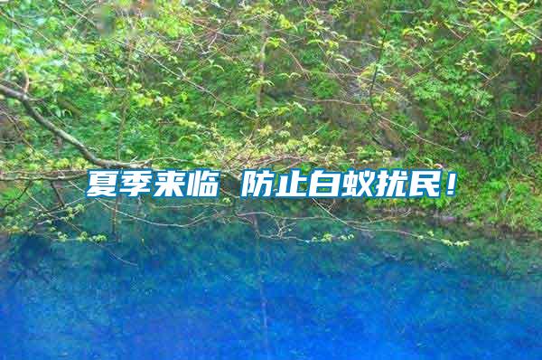 夏季來臨 防止白蟻擾民！