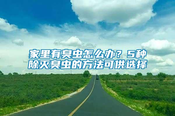 家里有臭蟲怎么辦？5種除滅臭蟲的方法可供選擇