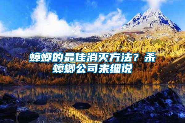 蟑螂的最佳消滅方法？殺蟑螂公司來(lái)細(xì)說(shuō)