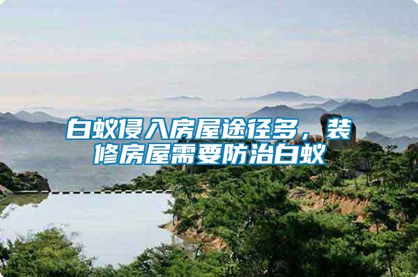 白蟻侵入房屋途徑多，裝修房屋需要防治白蟻