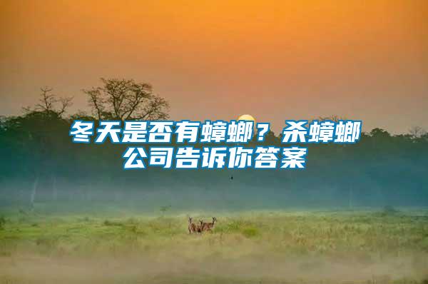 冬天是否有蟑螂？殺蟑螂公司告訴你答案