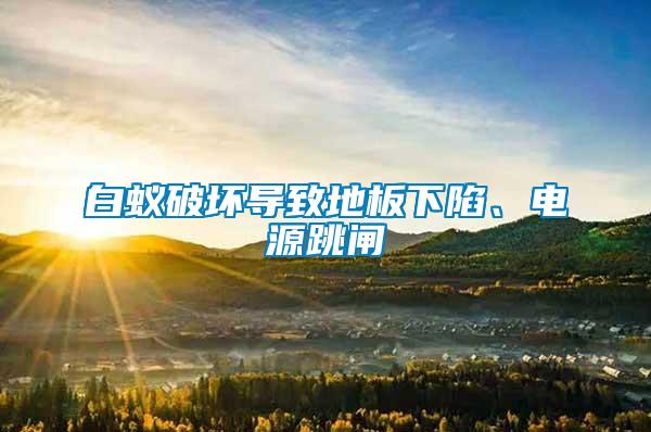 白蟻破壞導(dǎo)致地板下陷、電源跳閘