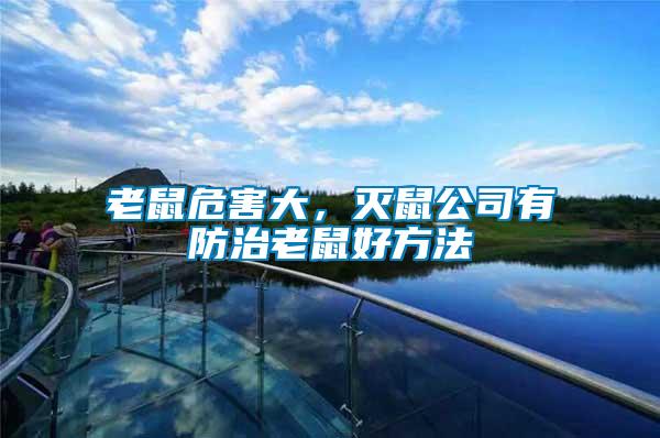 老鼠危害大，滅鼠公司有防治老鼠好方法
