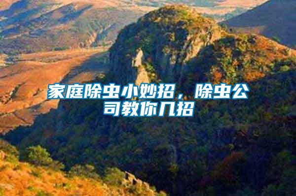 家庭除蟲(chóng)小妙招，除蟲(chóng)公司教你幾招