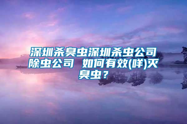 深圳殺臭蟲深圳殺蟲公司除蟲公司 如何有效(咩)滅臭蟲？