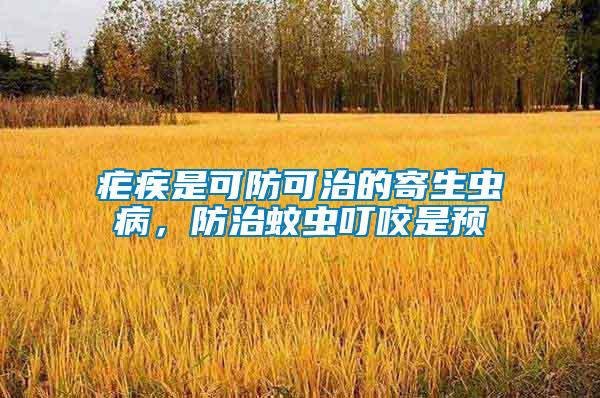 瘧疾是可防可治的寄生蟲病，防治蚊蟲叮咬是預
