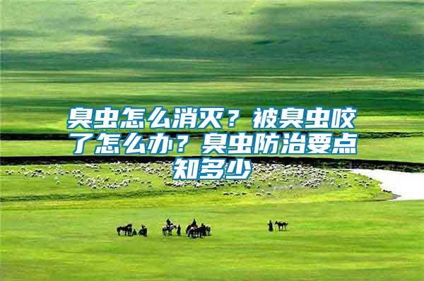 臭蟲(chóng)怎么消滅？被臭蟲(chóng)咬了怎么辦？臭蟲(chóng)防治要點(diǎn)知多少