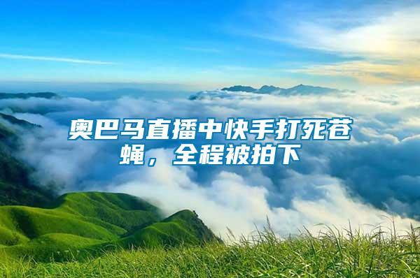 奧巴馬直播中快手打死蒼蠅，全程被拍下