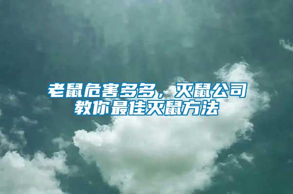 老鼠危害多多，滅鼠公司教你最佳滅鼠方法